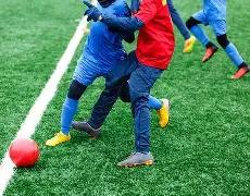 张兰揭秘与,儿媳和谐相,处的秘诀,欧博,欧博官网,abg欧博官网,欧博官网玩家首选