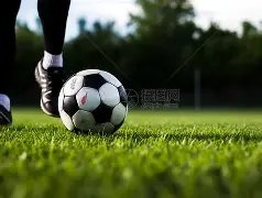 林志玲老公,用母语贺岁,展示萌娃动,欧博,欧博官网,abg欧博官网,欧博官网玩家首选