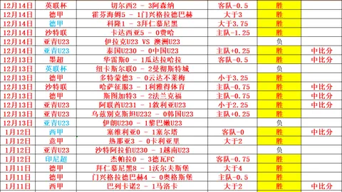 戴琳离世球迷遗愿未了，家人倾家荡产索回欠款29618元