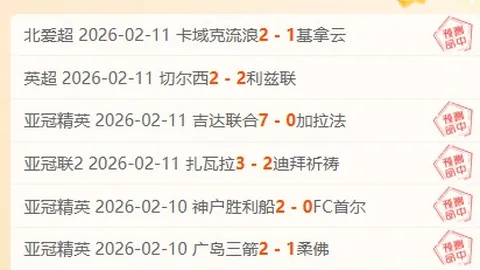 外贸新航程：聚焦产业集聚，畅享“一窗通办”，助力企业高效“出海”征程